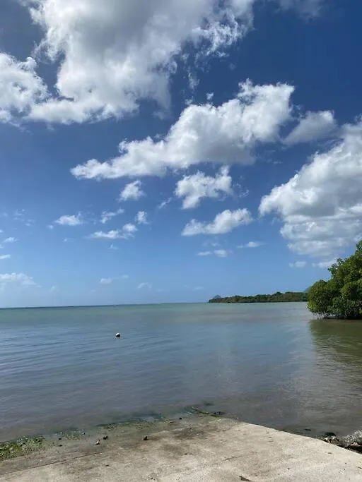 Trois Rivieres T2 Avec Grande Terrasse Ombragee Vue Mer Sainte-Luce 0*,